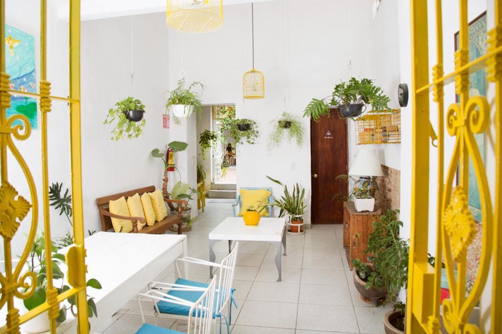 Casa Canario Hostel 瓜达拉哈拉 外观 照片