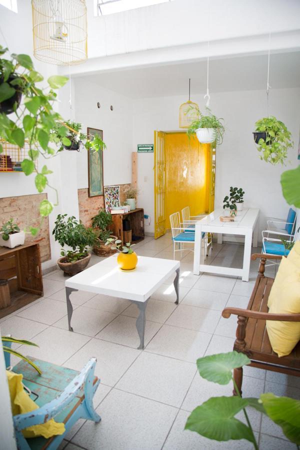 Casa Canario Hostel 瓜达拉哈拉 外观 照片