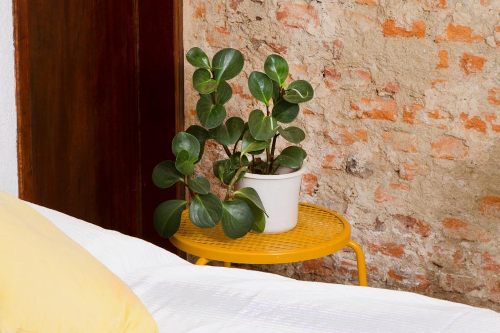 Casa Canario Hostel 瓜达拉哈拉 外观 照片