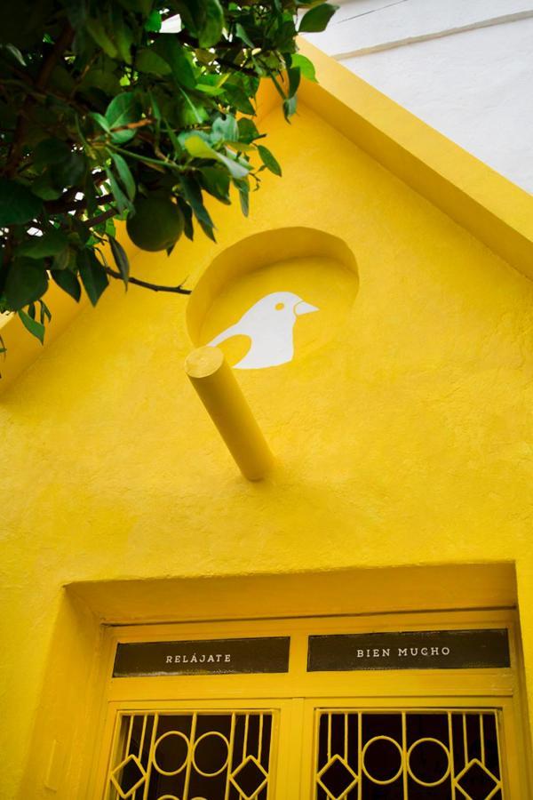 Casa Canario Hostel 瓜达拉哈拉 外观 照片