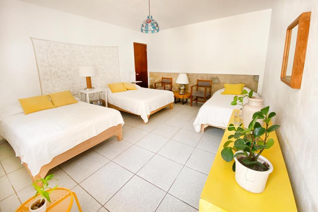 Casa Canario Hostel 瓜达拉哈拉 外观 照片