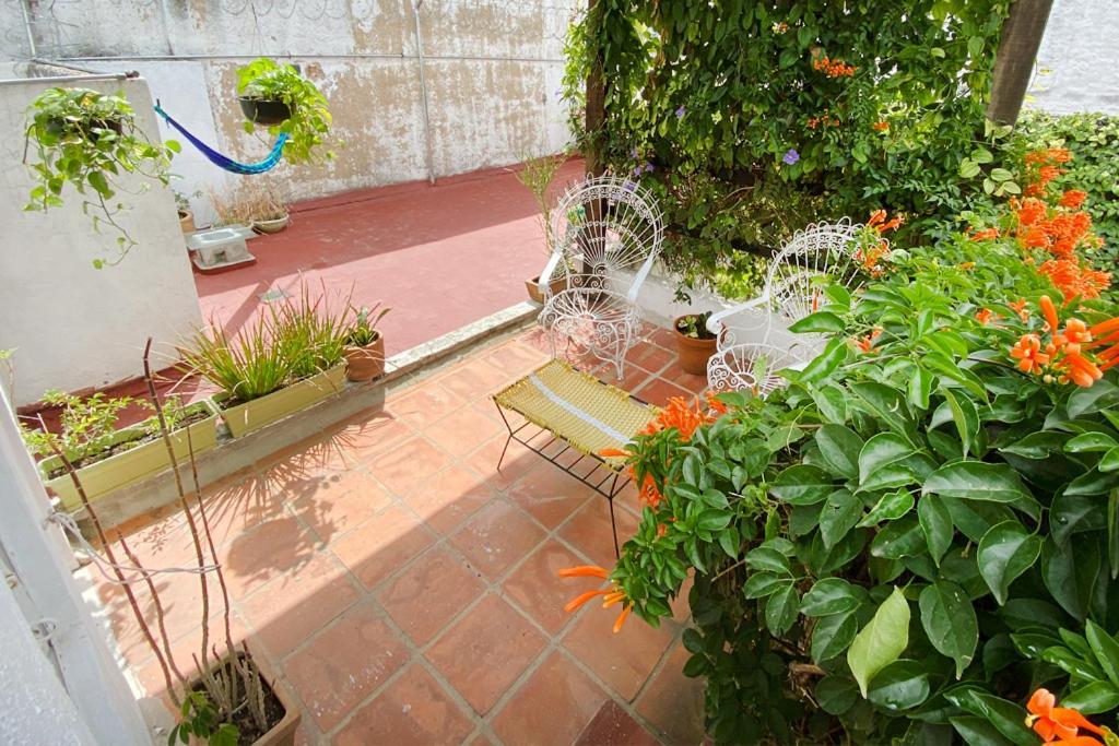 Casa Canario Hostel 瓜达拉哈拉 外观 照片