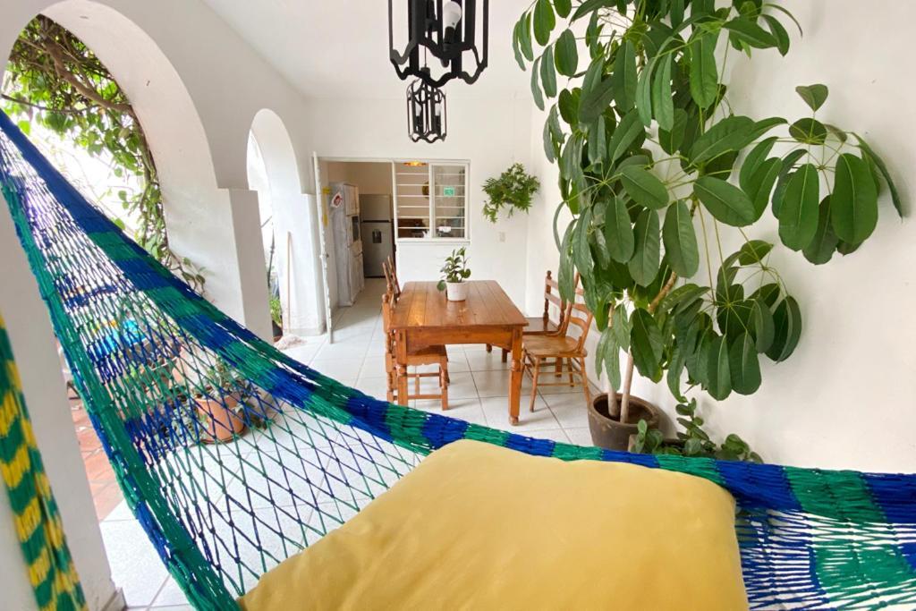 Casa Canario Hostel 瓜达拉哈拉 外观 照片