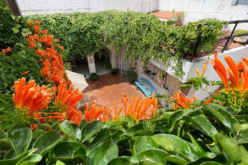 Casa Canario Hostel 瓜达拉哈拉 外观 照片