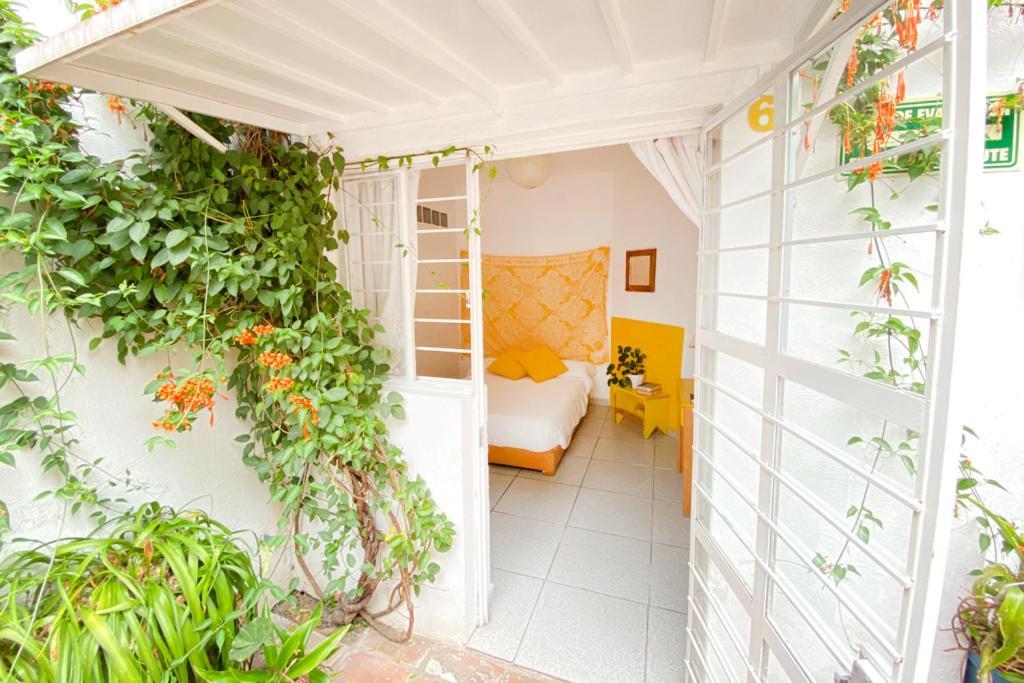 Casa Canario Hostel 瓜达拉哈拉 外观 照片